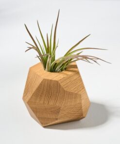 White Oak Geometric Air Plant Holder Elevate Your Home with Natural Elegance