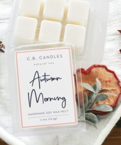 Autumn Morning Handcrafted Soy Wax Melt for Fall/Winter Ambiance