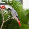 Enchanting Congo African Grey Parrot A Crochet Masterpiece for Bird Lovers