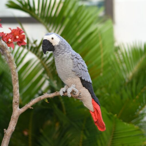 Enchanting Congo African Grey Parrot A Crochet Masterpiece for Bird Lovers
