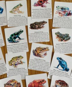 Discover the World of Frogs Printable Flashcards for Nature Science Exploration