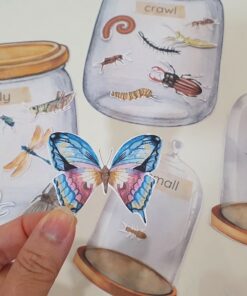 Montessori Insect Sorting and Matching Game Explore the World of Bugs