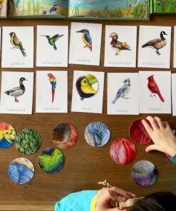 Montessori Bird Flashcards Pattern Matching and Bird Identification for Preschoolers