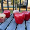 Handcrafted Wooden Fruit Collection Apples, Pumpkins, Pears, and Lemons