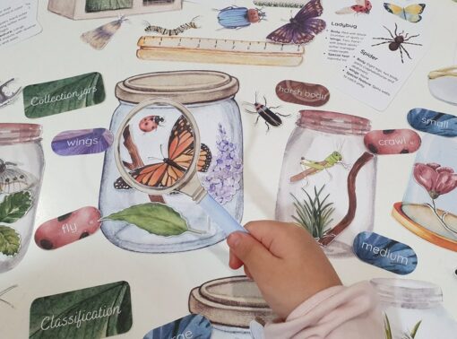 Bug Explorer's Paradise Unleash Your Child's Curiosity with Our Entomology Lab Pretend Play Set