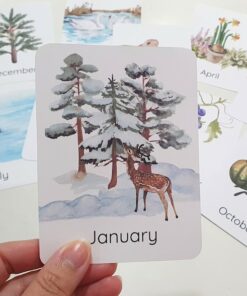Nature's Seasonal Journey Months of the Year Flashcards for Early Learning