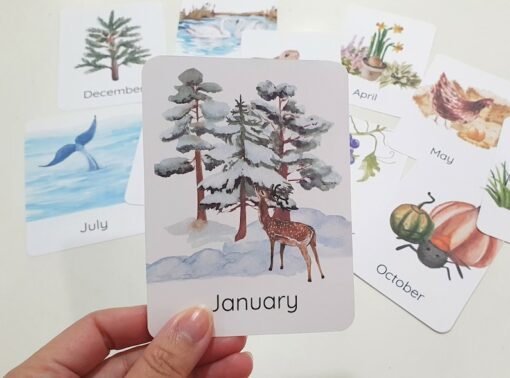 Nature's Seasonal Journey Months of the Year Flashcards for Early Learning