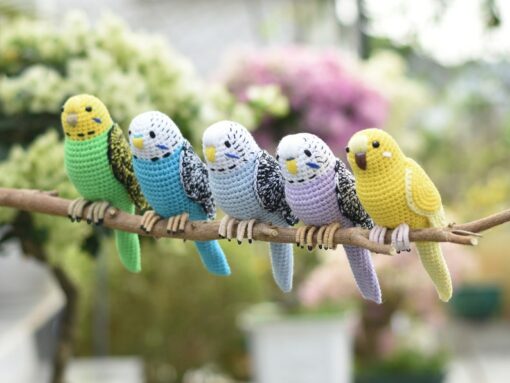 Adorable Budgie Bird Crochet Amigurumi A Handmade Gift for Bird Enthusiasts