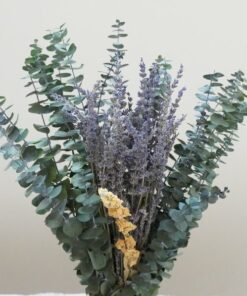 Eucalyptus Leaf Lavender Bath Eucalyptus Set Preserve Green Eucalyptus Leaves for a Refreshing Shower Experience
