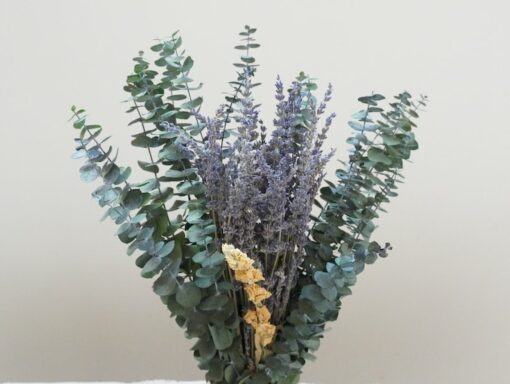 Eucalyptus Leaf Lavender Bath Eucalyptus Set Preserve Green Eucalyptus Leaves for a Refreshing Shower Experience
