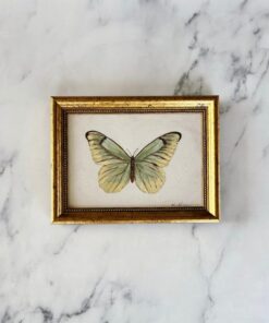 Unveiling the Beauty of Nature Original Oil Painting Print of a Delicate Green Butterfly
