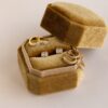 Unveil the Mystery Caitlyn Minimalist's Surprise Earrings Box with Velvet Case (Value $90)