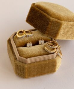 Unveil the Mystery Caitlyn Minimalist's Surprise Earrings Box with Velvet Case (Value $90)