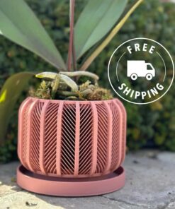 RODEX Orchid Planter Modern 3D Printed Indoor Pot for Succulents, Cacti, and Monstera (3"-7.4")