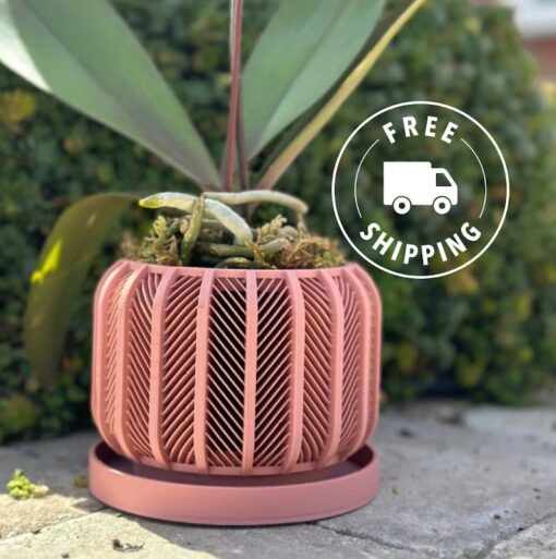 RODEX Orchid Planter Modern 3D Printed Indoor Pot for Succulents, Cacti, and Monstera (3"-7.4")