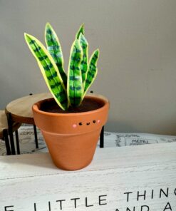 Dracaena Trifasciata 'Laurentii' The Unbreakable Snake Plant for Your Home Oasis