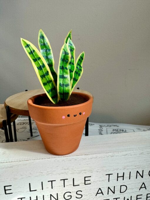 Dracaena Trifasciata 'Laurentii' The Unbreakable Snake Plant for Your Home Oasis