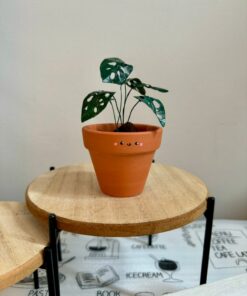 Monstera Adansonii Swiss Cheese Plant in a 2" Pot | Handcrafted Mini Paper Plant with Hand-Painted Leaves | Perfect Houseplant