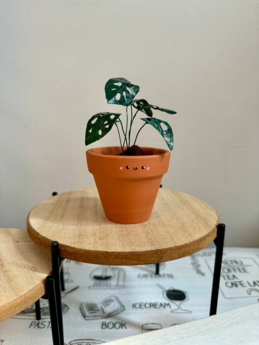 Monstera Adansonii Swiss Cheese Plant in a 2" Pot | Handcrafted Mini Paper Plant with Hand-Painted Leaves | Perfect Houseplant